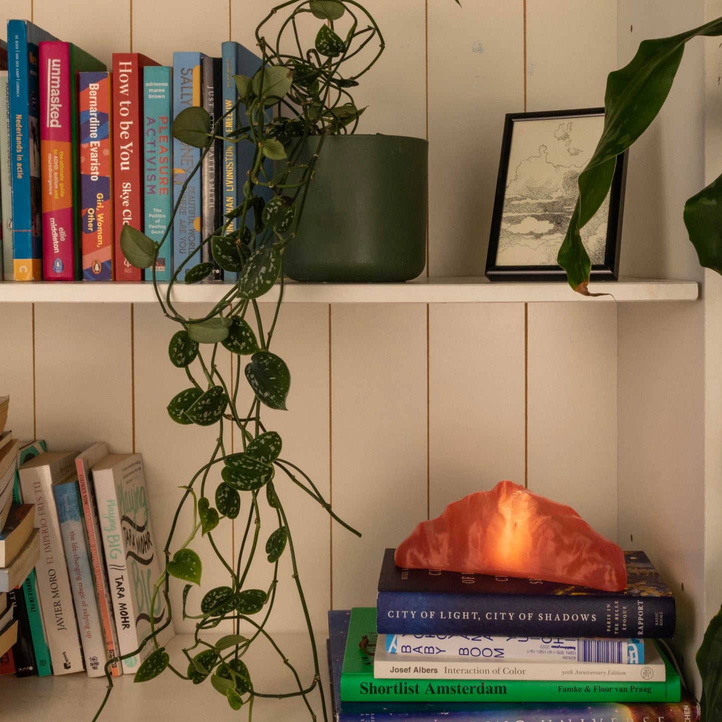 Shelf with books, a plant, and a pink croissant lamp against a white paneled wall.