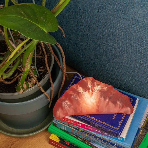 Pink croissant lamp on a stack of books next to  plant on a blue background